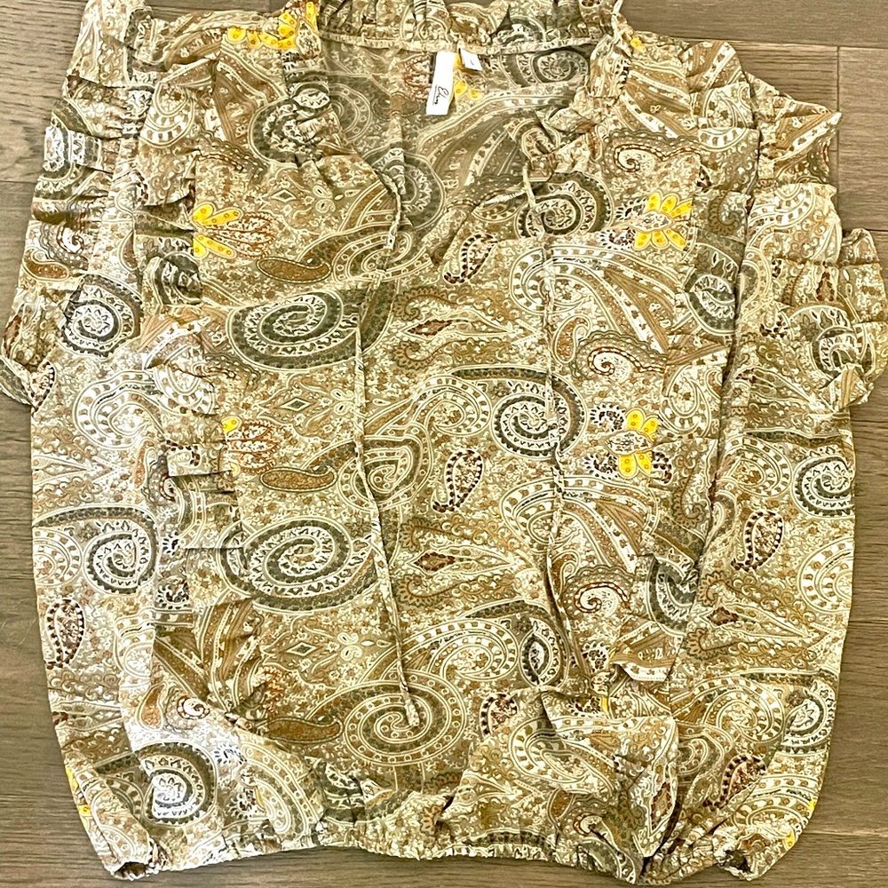 Elan paisley chiffon top. Size large fits a medium.